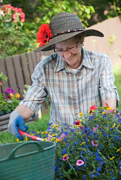 istock Senior Woman Gardening 182842935