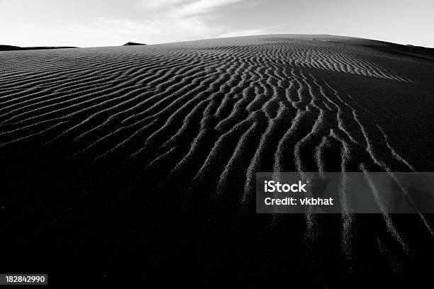 ブリュノー砂丘州立公園 - モノクロのストックフォトや画像を多数ご用意 - モノクロ, 並んでいる, 砂