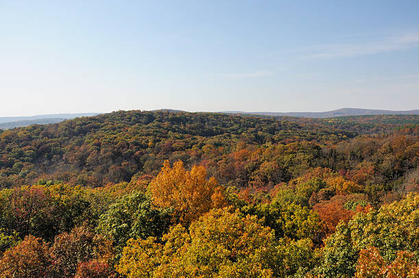 herbst in der garden of the gods wildnis southern illinois - shawnee national forest stock-fotos und bilder