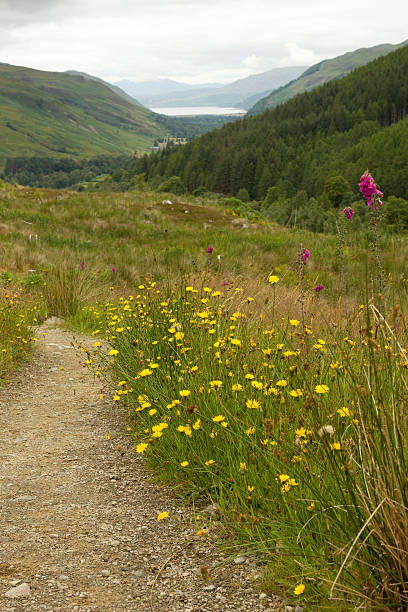 istock View of Ullapool from Corrieshalloch Gorge 182843354