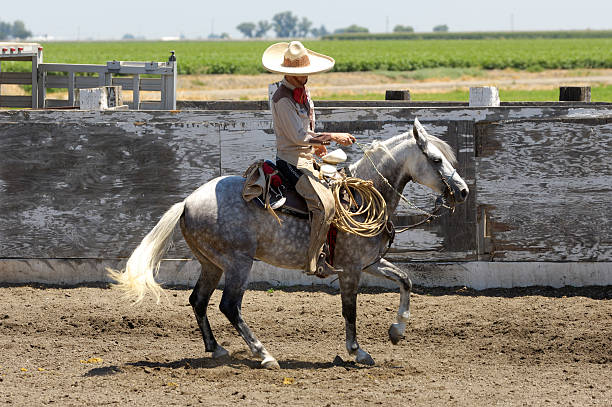 mexikanische cowboy in ländlichen rodeo arena - rodeo cowboy motion horse stock-fotos und bilder