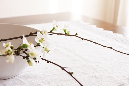 A DSLR photo of white Quince flower bouquet. Arrangement with branches in a white ceramic bowl on a table dressed with a    vintage white runner. A window with white curtains is at the background at the right side.