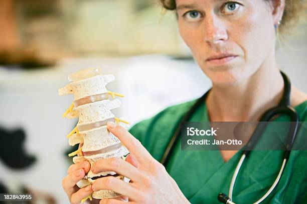 Lumbal Wirbelsäule Stockfoto und mehr Bilder von Arthrosen - Arthrosen, Arzt, Berufliche Beschäftigung