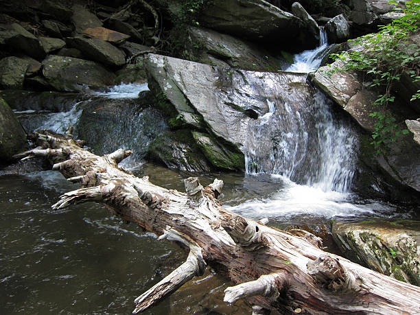 istock Scenic Creek in Tennessee 182844388