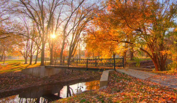 Bridges in Autumn Japanese park