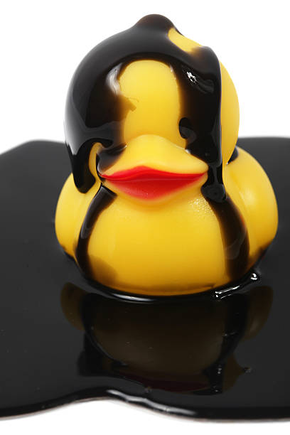 istock Oil slick on animal 182844718