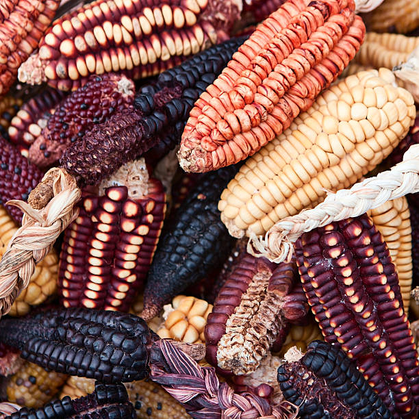 istock Corn (maize) for sale, Pisac market, Peru 182844783
