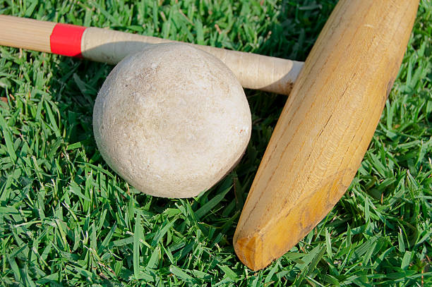 istock Polo Mallet and Ball on Grass 182844816