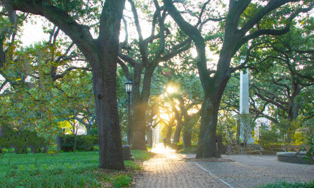 istock Savanah Historic District Park at sunrise- Savannah, Georgia 1828449369