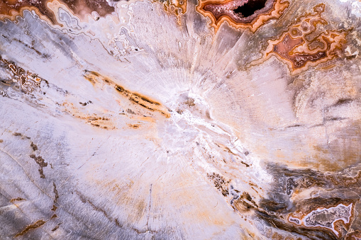 agate, quartz geode in petrified wood macro detail texture. close-up polished semi-precious gemstone.