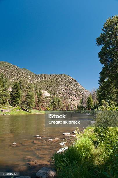 Ruhigen Bereich Des Colorado River Stockfoto und mehr Bilder von Baum - Baum, Blau, Colorado - Westliche Bundesstaaten der USA