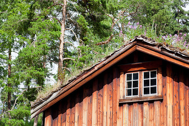 istock Norwegian Wooden House in the Forest 182845402