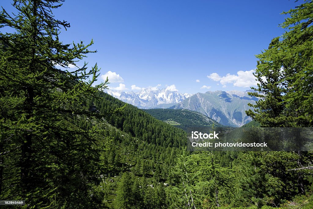 Alpes italiennes panorama - Photo de Aiguille rocheuse libre de droits