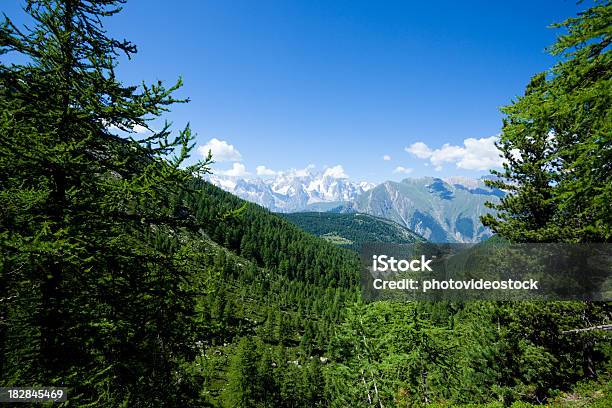 Alpi Italiane Panorama - Fotografie stock e altre immagini di Abete - Abete, Albero, Alpi