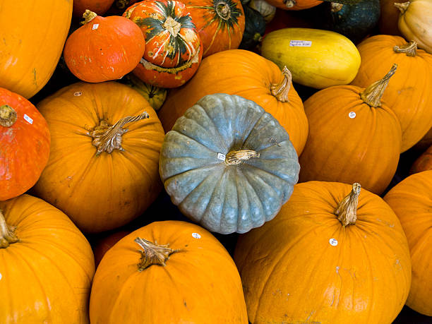 istock Pumpkins at the market 182846655