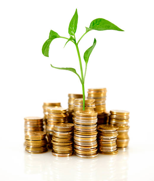 istock Stacks of coins with a small plant sprouting in the middle 182846760