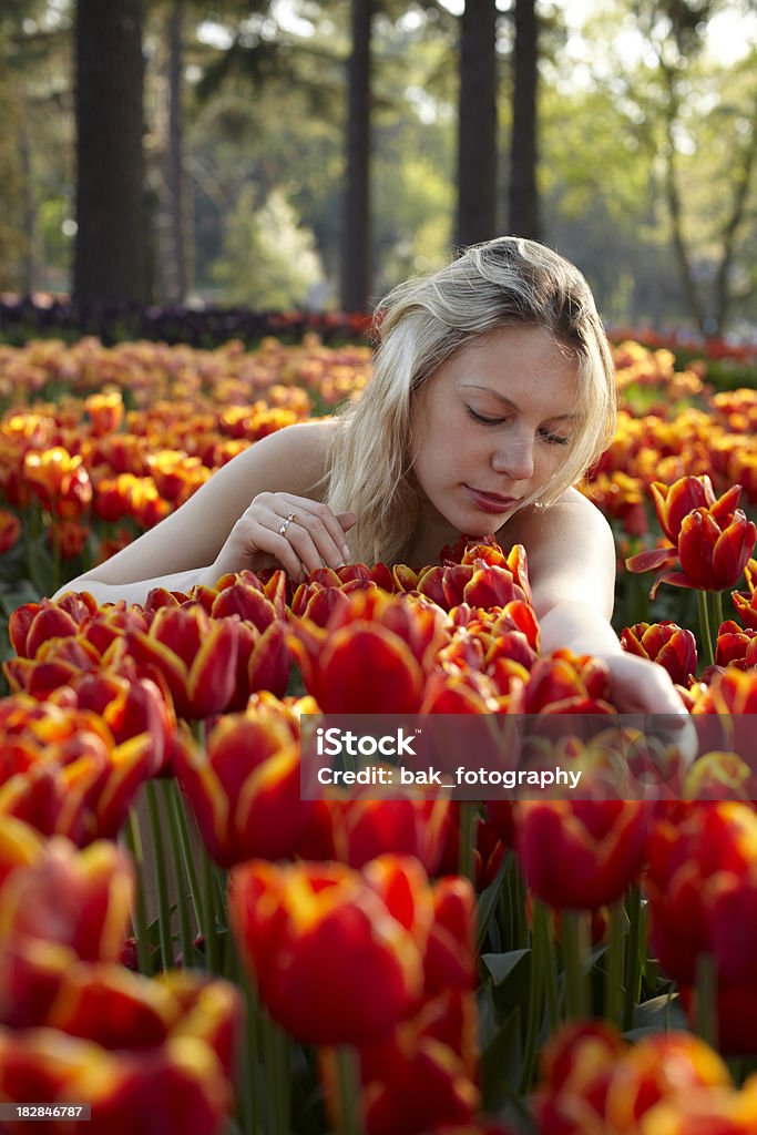 Die Blumen - Lizenzfrei Entspannung Stock-Foto