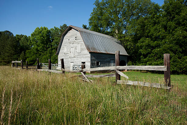 Grey barn with mansard roof in field on a clear day in North Carolina