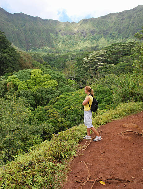 istock Young Girl Hiking in Hawaii 182847147