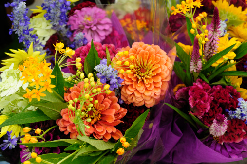 A closeup shot of colorful ranunculus buds in a glass vase