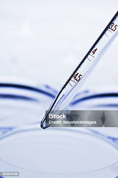 Dropper And Petri Dishes Stock Photo - Download Image Now - Chemistry, Close-up, Copy Space