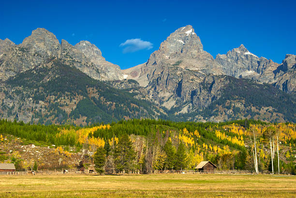 cabine reservada e outono cordilheira teton - cathedral - fotografias e filmes do acervo