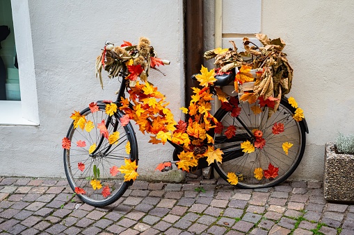 A stand-alone bicycle is decorated with colorful autumn leaves.