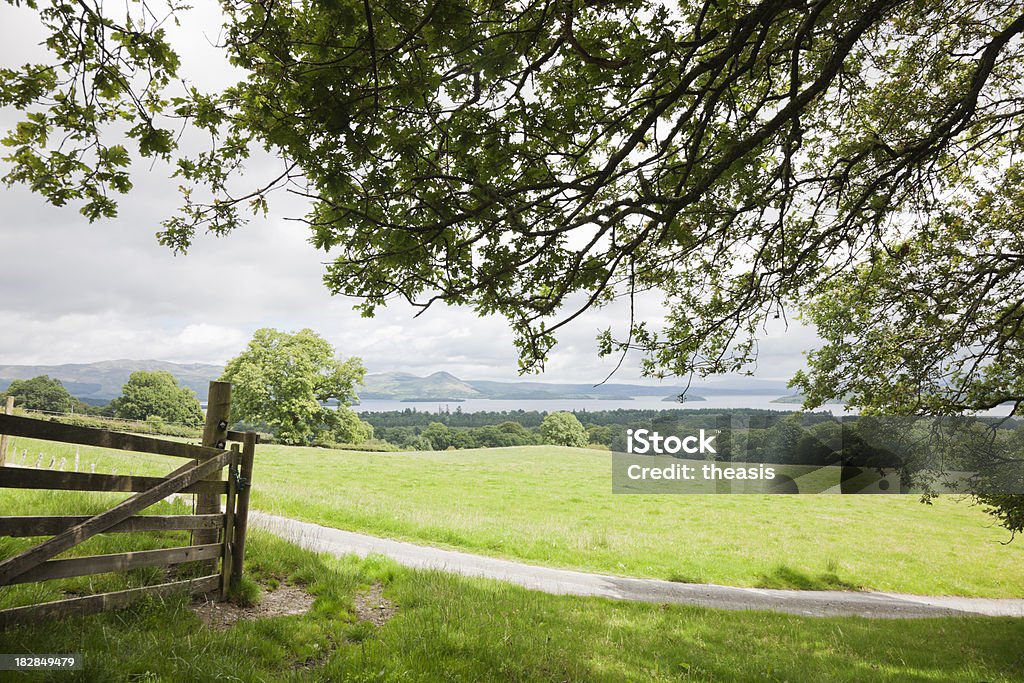 Loch Lomond from the West Shore Hills Looking through an open gate down over Loch Lomond from farmland on the western hills. Agriculture Stock Photo
