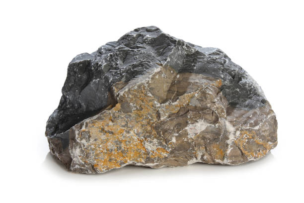 istock A close up of a gray rock on a white background 182849689