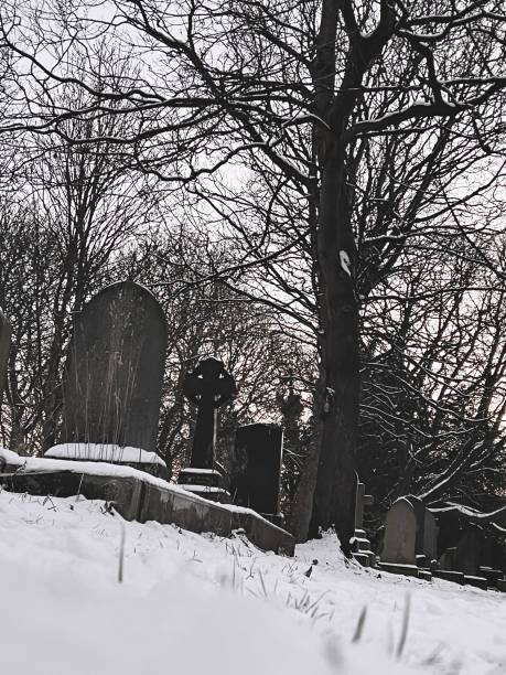 istock Low angle view in a cemetery at sunrise on a cold winters morning 1828497311