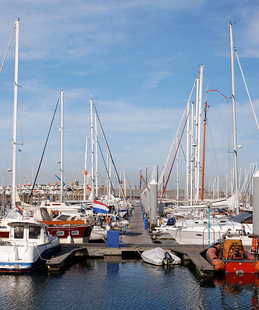 istock Yachts in the marina 182849775