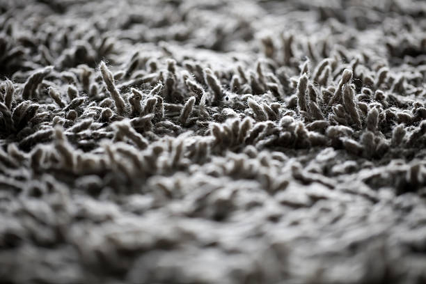Wool carpet fiber macro stock photo