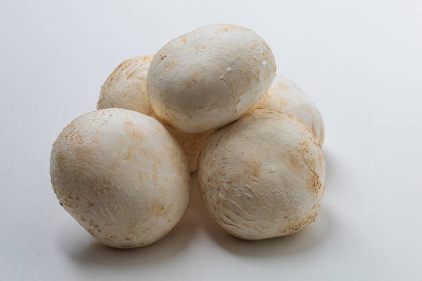 Tasty white champignon mushroom on a white background.