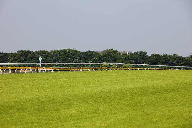 istock Horse Racing Track 182850694