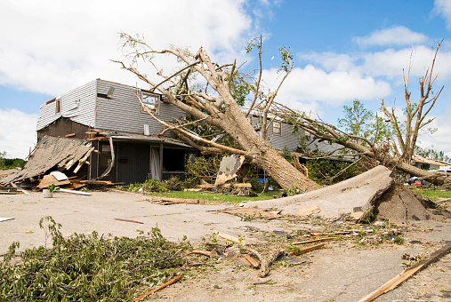 A fallen tree rests on a damaged house in the wake of a storm.