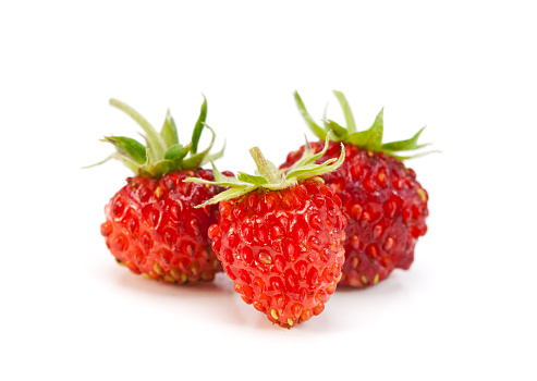 Wild strawberry