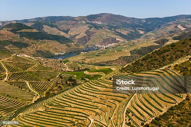 Valle Del Duero Foto de stock y más banco de imágenes de Agricultura - Agricultura, Aire libre, Ajardinado