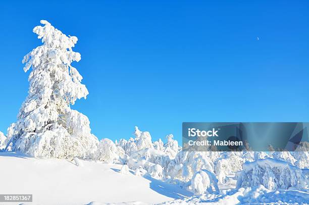 Zima Śnieg Pokryte Drzewami I Krajobraz - zdjęcia stockowe i więcej obrazów Bez ludzi - Bez ludzi, Budynek z zewnątrz, Chłodny