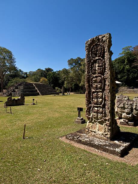 istock Mayan carvings at Copan ruins in Honduras 182851543