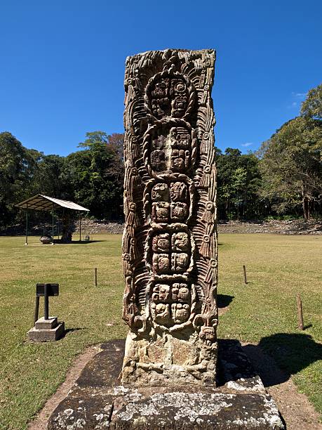 istock Mayan carvings at Copan ruins in Honduras 182851552