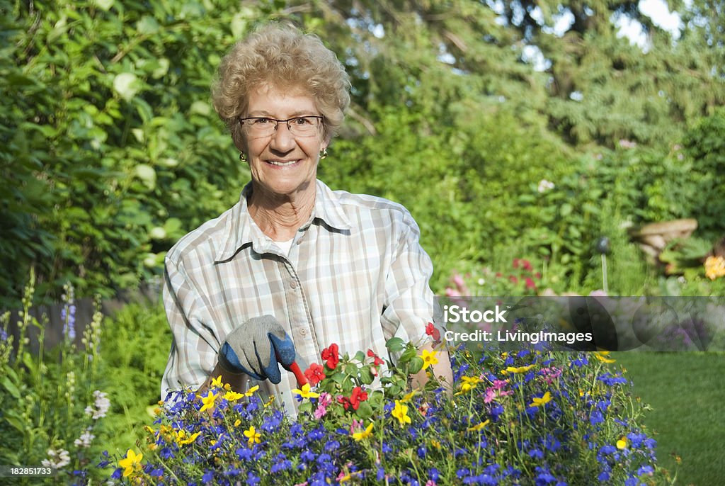 Mulher idosa Jardinagem - Royalty-free 60-69 Anos Foto de stock