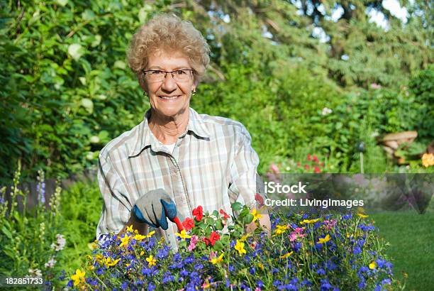 Старший Женщина Работать В Саду — стоковые фотографии и другие картинки 60-69 лет - 60-69 лет, Активный образ жизни, Активный пенсионер