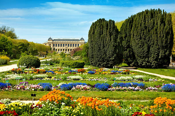 musée à paris - jardin classique photos et images de collection