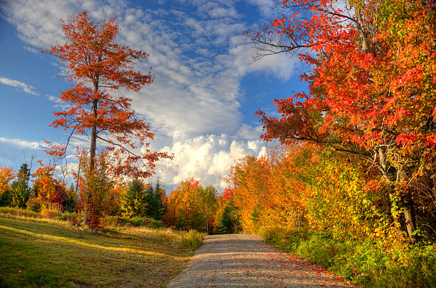 Autumn in the Great North Woods of New Hampshire.  Photo taken on a rural dirt road  during the peak fall foliage season. New Hampshire is one of New England's most popular fall foliage destinations bringing out some of the best foliage in the United States