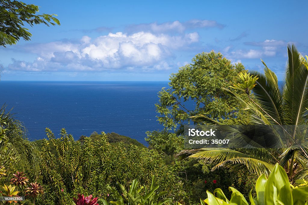 garden eden "paradise view over the pacific ocean at maui, hawaii islands, usa." Beauty In Nature Stock Photo