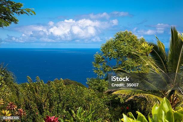 Garden Eden Stock Photo - Download Image Now - Beauty In Nature, Blue, Botanical Garden