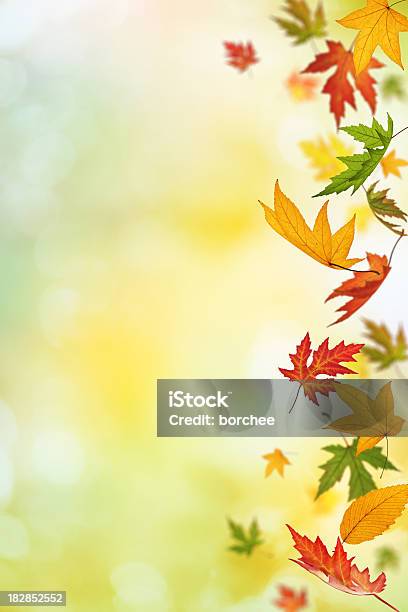 Caindo Outono Folhas - Fotografias de stock e mais imagens de Amarelo - Amarelo, Ao Ar Livre, Beleza
