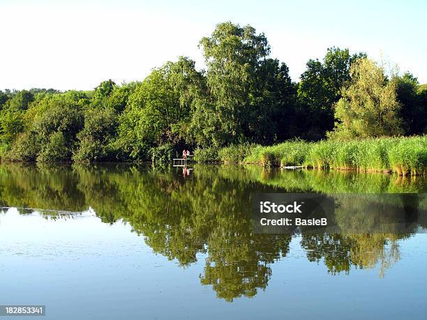 Spiegelbild Der Bäume In Einem Teich Stockfoto und mehr Bilder von Deutschland - Deutschland, Flussufer, Abgeschiedenheit