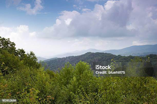 Cadena Montañosa Smoky Mountains Foto de stock y más banco de imágenes de Aire libre - Aire libre, Appalachia, Arbusto