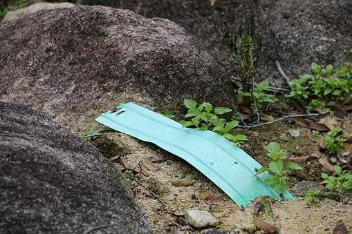 Garbage in nature reserve forest